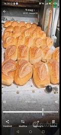 Panettiere