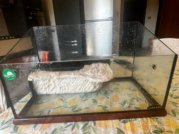 Acquario tartarughe