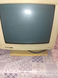monitor vintage FS1400