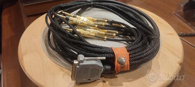 DB25-JACK 8 canali bilanciati