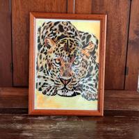 ritratto di un leopardo 24×33 cm