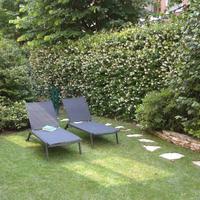 Lettini relax