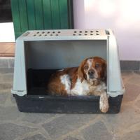Trasportino cane fino 20 KG