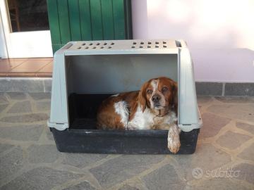 Trasportino cane fino 20 KG