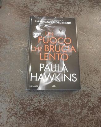 Un fuoco che brucia dentro di Paula Hawkins