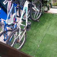 MTB ragazzo 24