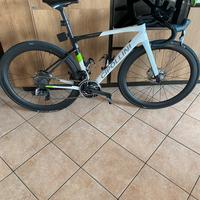 Cipollini Dolomia 2022