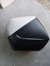 Borse laterali Tiger sport 660 Triumph