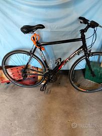 Bicicletta ibrida e city bike