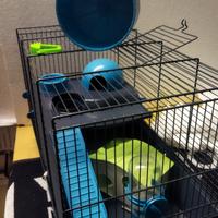 Gabbia e trasportino criceto