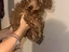 Immagine 6
