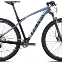 Olympia Iron 29' Carbon Sram - MTB PERFETTA! XL