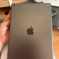 Apple 2021 iPad (10,2", Wi-Fi, 256GB)
