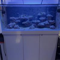 Acquario marino