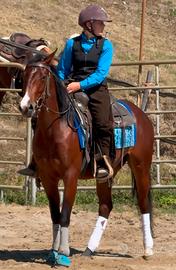 Cavallo