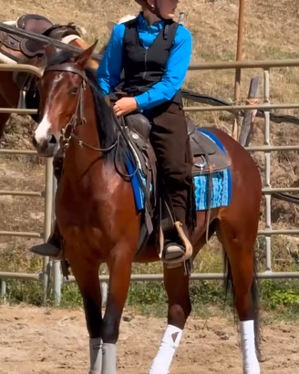 Cavallo