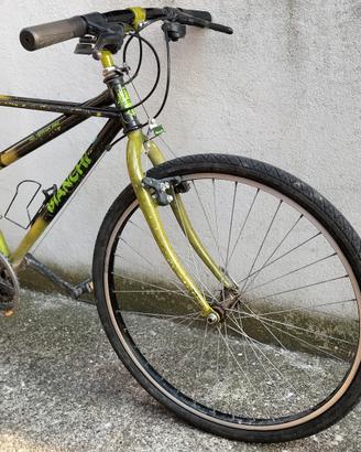 Mountain bike 