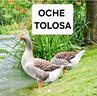 oche-tolosa-femmine