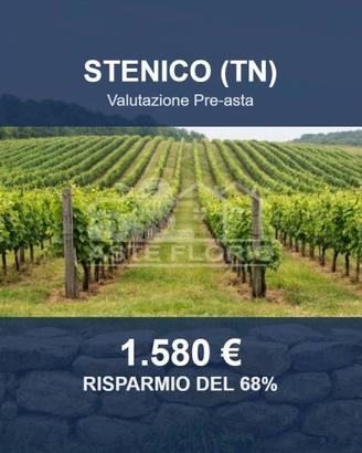 Immobile in asta di 2711 m² a Stenico