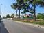 Immagine 9
