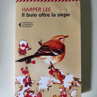 il buio oltre la siepe