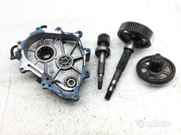 KYMCO PEOPLE LC 250 INGRANAGGI E CARTER RUOTA POST