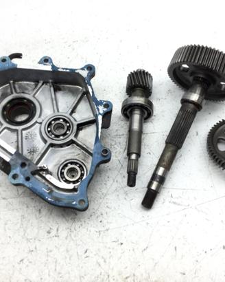 KYMCO PEOPLE LC 250 INGRANAGGI E CARTER RUOTA POST