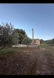 Terreno 3300mq con casa