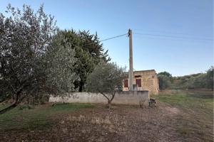 Terreno 3300mq con casa