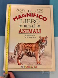 Il magnifico libro degli animali