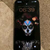 iPhone 13 pro max 256 GB