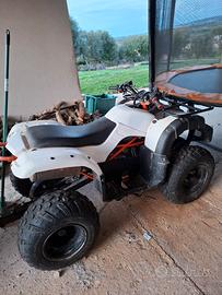 Quad Agricolo 150 4T con carrello 
