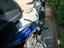 Immagine 3