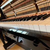 Pianoforte Kawai BL 31