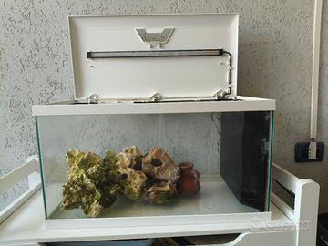 acquario 60 litri 