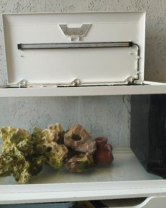 acquario 60 litri 