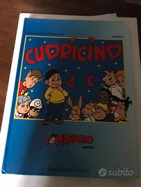 Cartonato Cuoricino Il Monello