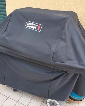 Barbecue Weber