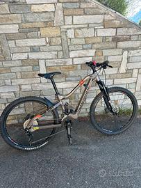 emtb haibike hardseven 4.0