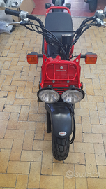 HONDA ZOOMER 50cc