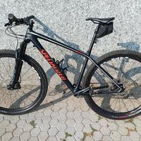 MTB Specialized EPIC FRONT carbonio