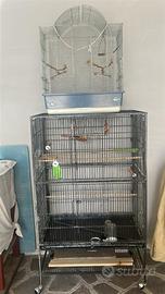 Gabbia per pappagalli