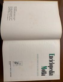 Enciclopedia Motta edizione 1977