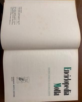 Enciclopedia Motta edizione 1977