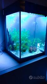Acquario 38x40h 57