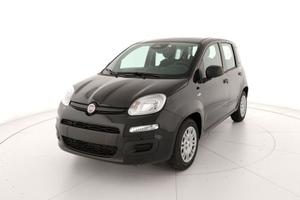 FIAT Pandina Panda 1.0 FireFly 65 CV Hybrid Icon