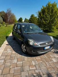 Ford Fiesta - anche Neopatentati