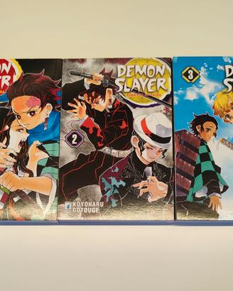 Demon slayer (Kimetsu no yaiba)