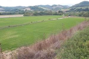 RGE 70/2021 - Tribunale di Urbino - Lotto 9