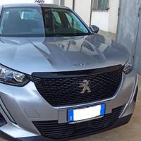 PEUGEOT 2008 1.5 BlueHDi 110Cv S&S